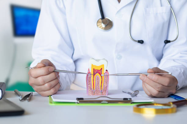 Best Emergency Dentist for Lost Fillings or Crowns in Syosset, NY